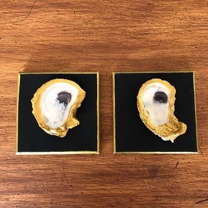 HOST PICK! Oyster shell canvas art